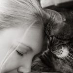 Tabby_Cat_Photo