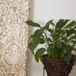 Benjamin_Moore_Green_1