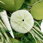 Door_Decorating_Ideas_2