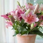 Flowers_Good