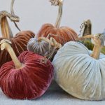 Velvet_Pumpkins_5