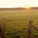 Alabama_Sunset_Road_Trip_Country