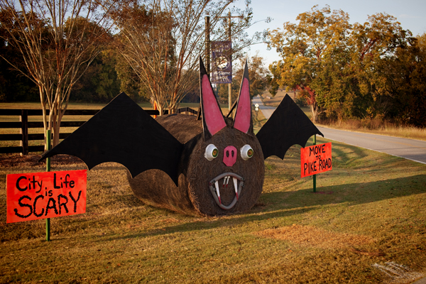 Hay Bale Decorating Bat