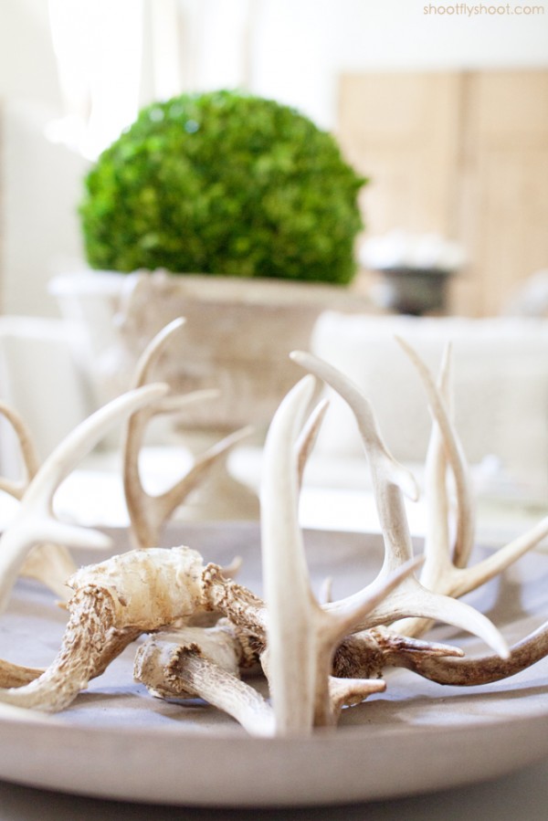 Atchison Home | Antlers | Boxwood