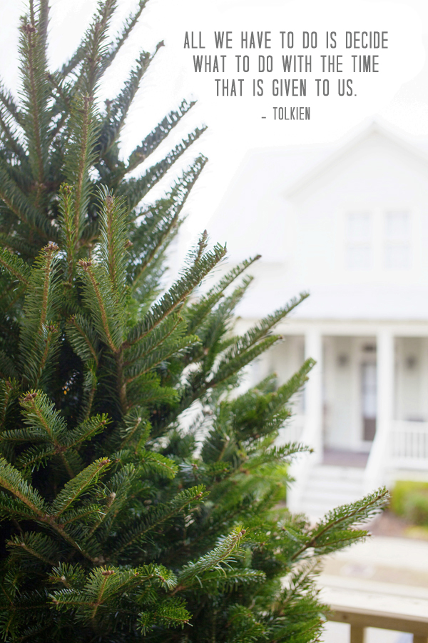 Christmas Tree | Cottage | Front Porch | Tolkien Quote