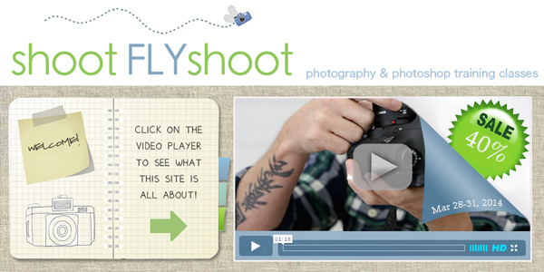 Shoot Fly Shoot | Photoshop and Photography Training Classes