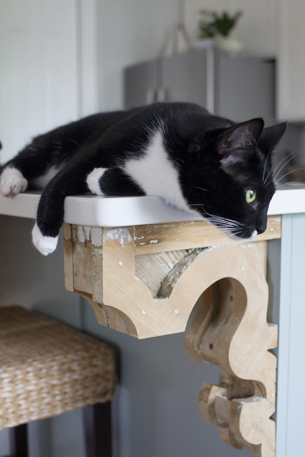 Old Corbel | Tuxedo Cat | Heather Gray Kitchen Island