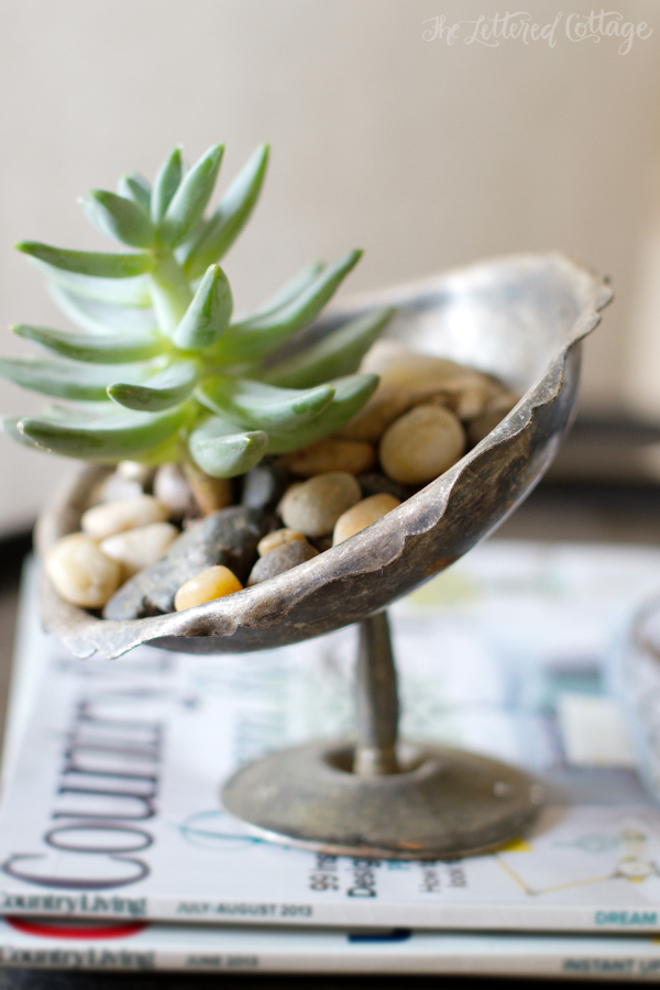 Succulent in Tarnished Silver with Stones