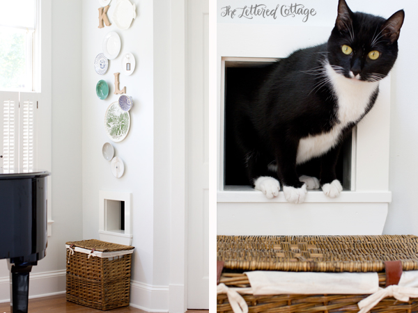 Hole In Wall To Hide Litter Box | Cat Room | The Lettered Cottage