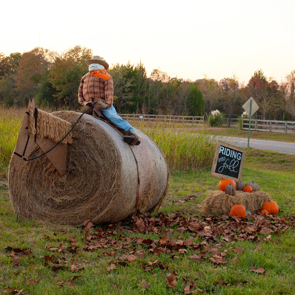 Hay Bale Decorating | Cowboy and Horse