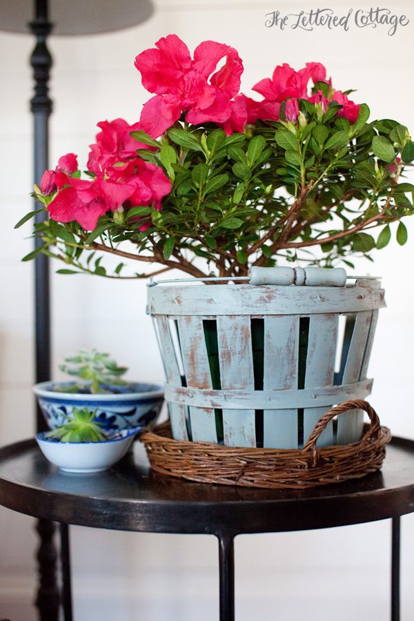 Apple Basket Makeover | The Lettered Cottage