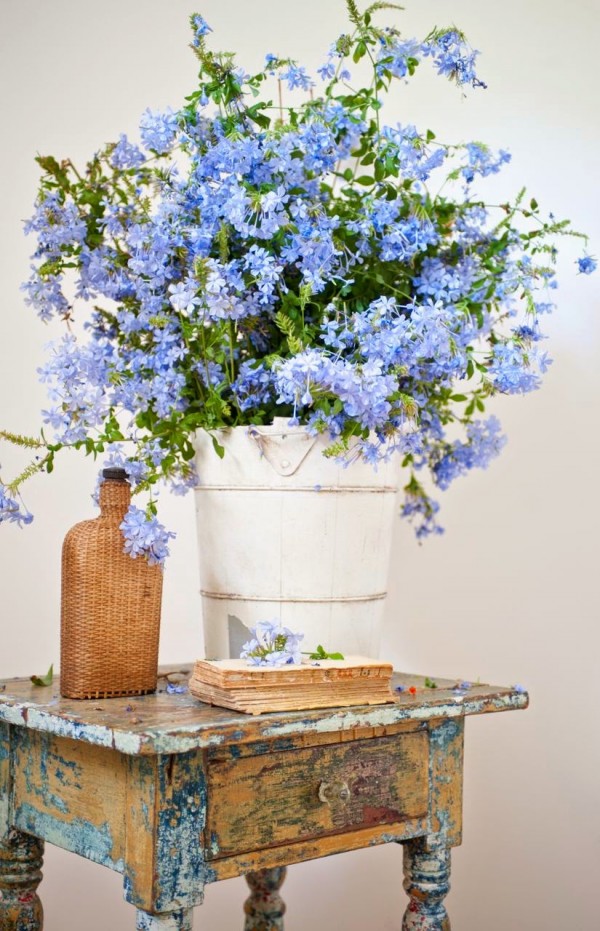 Ojai Cottage | The Polished Pebble | Flowers In Bucket