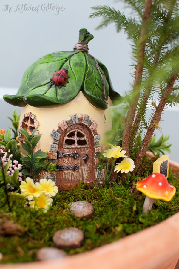 Container Fairy Garden | Mushroom | Moss