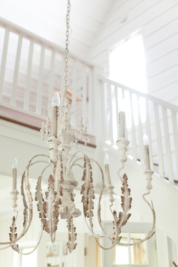 NEST at Shelter and Roost | Chandelier