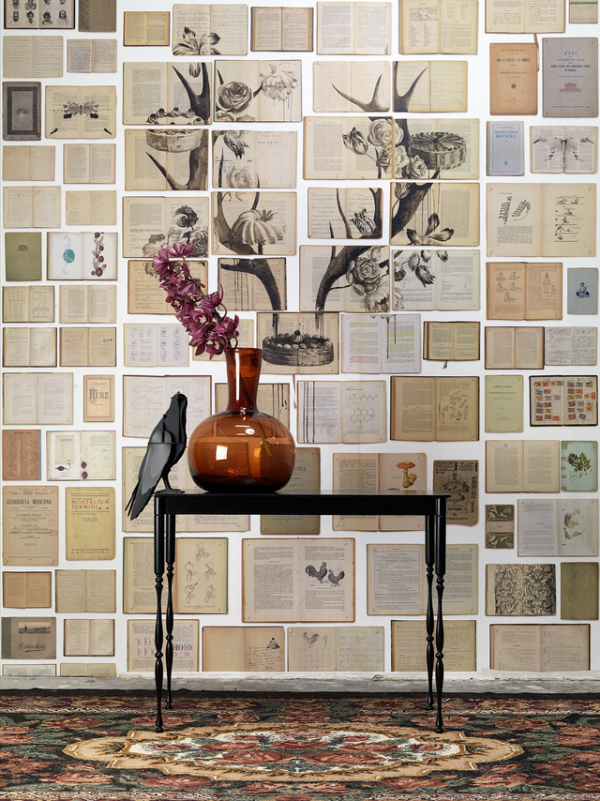 BIBLIOTECA WALLPAPER BY EKATERINA PANIKANOVA  | Wallpaper | Wallcovering | Books