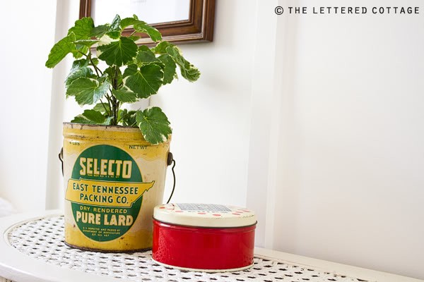Reading Room | The Lettered Cottage | Tin Bucket