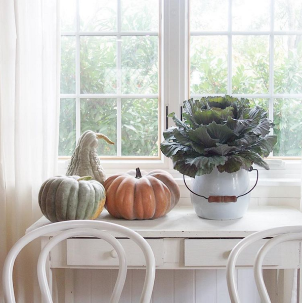 Fall Tablescape | Simple | Fishman1963 on Instagram