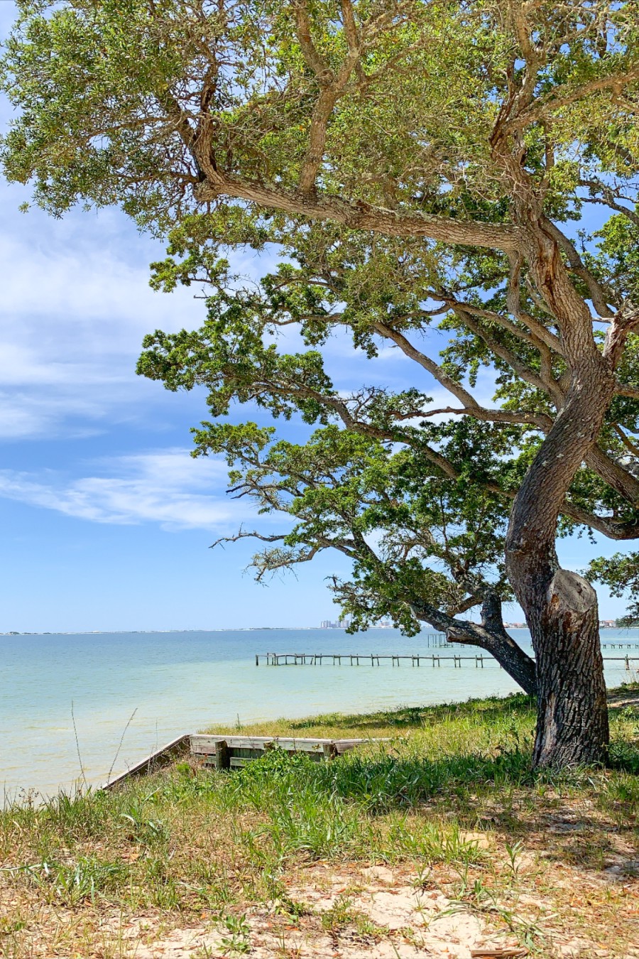 Tree After - The Lettered Cottage
